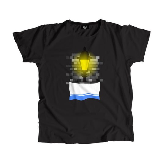 Altai Republic Street Lamp Bricks Unisex T-Shirt