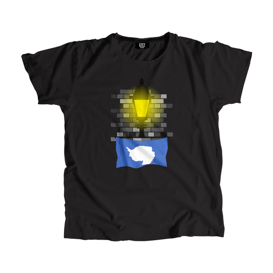 Antarctica Street Lamp Bricks Unisex T-Shirt