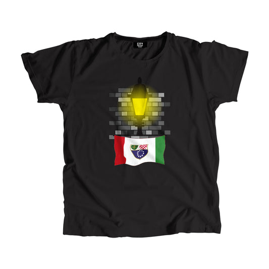 Bosnia and Herzegovina Federation of Street Lamp Bricks Unisex T-Shirt